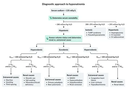 Диагностика гипонатриемии